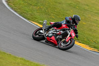 PJ-Motorsport-2019;anglesey-no-limits-trackday;anglesey-photographs;anglesey-trackday-photographs;enduro-digital-images;event-digital-images;eventdigitalimages;no-limits-trackdays;peter-wileman-photography;racing-digital-images;trac-mon;trackday-digital-images;trackday-photos;ty-croes